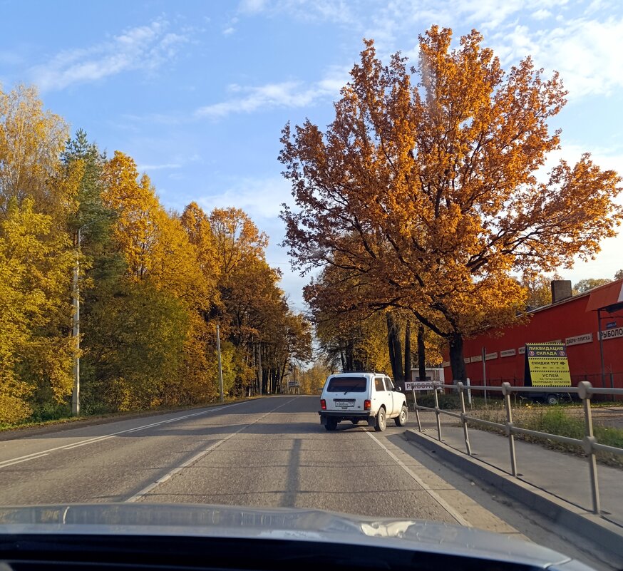 Осень. - tatiana 