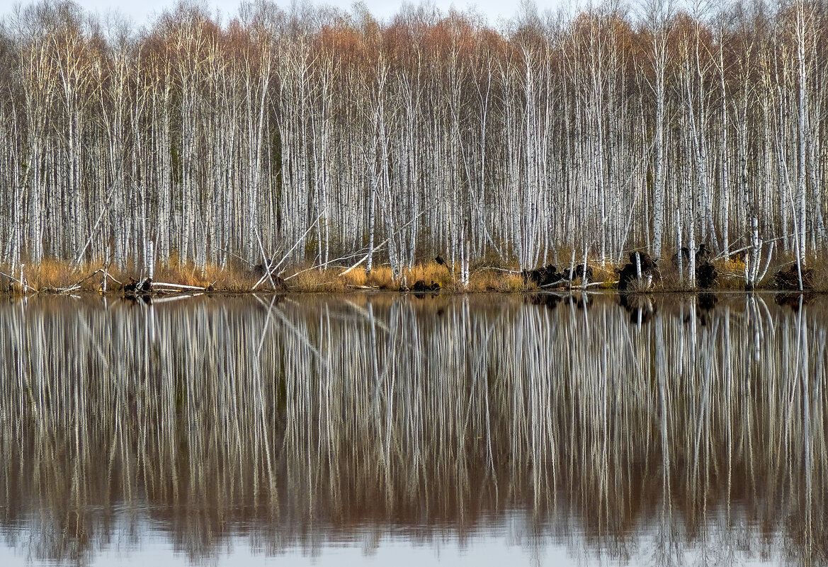 ..... - александр 