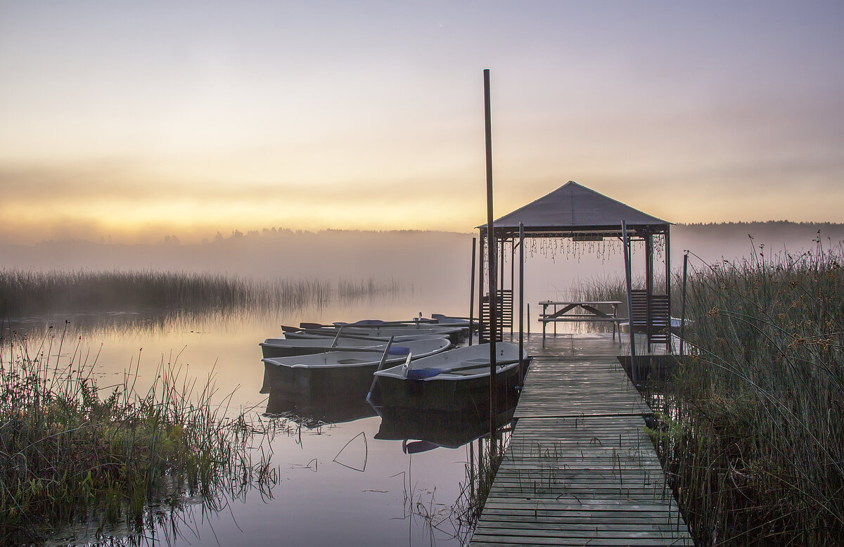 В тишине рассвета. Озеро Красавица,Ленобласть. - Bosanat 