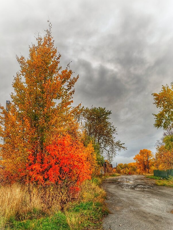 *** - Виталий Бенгард