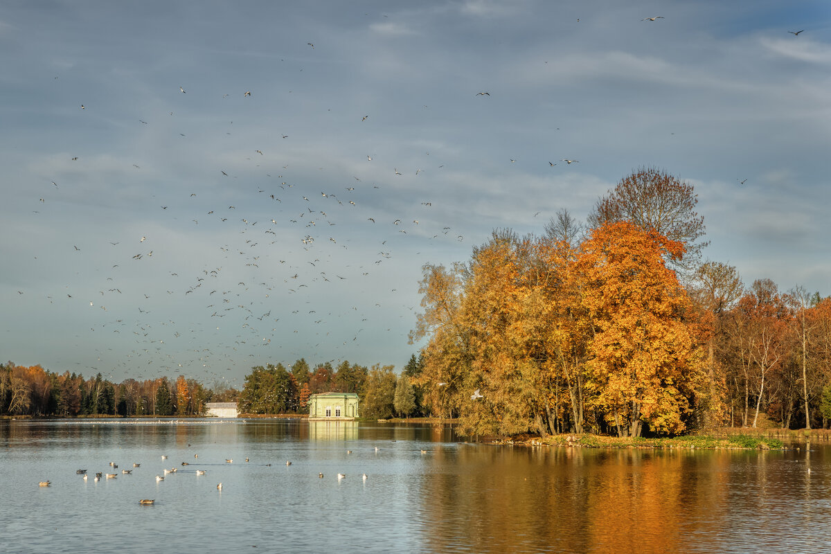 Гатчина - Владимир Колесников Гатчина - Владимир Колесников