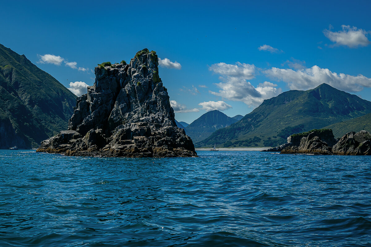 ... - Жора Житников