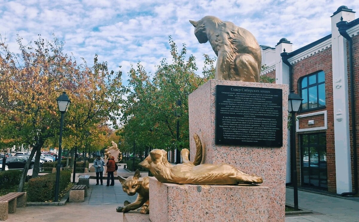 Город Тюмень - Георгиевич 