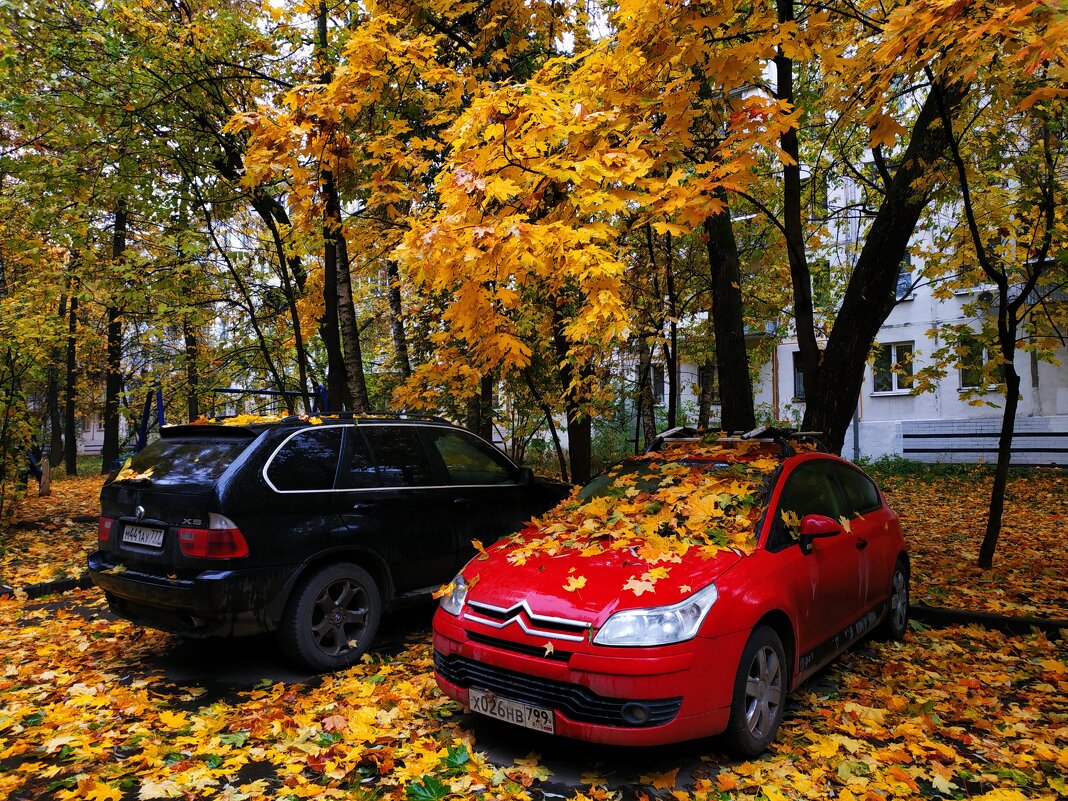 Золотая пора в городе - Андрей Лукьянов