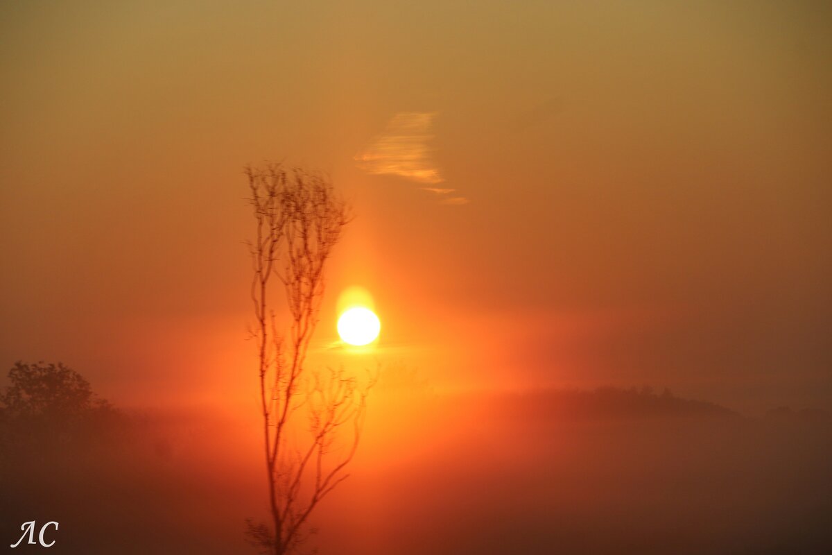 На восходе - Любовь Сахарова