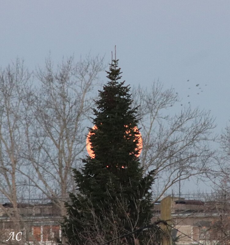 Суперлуние 07.10.25. - Любовь Сахарова