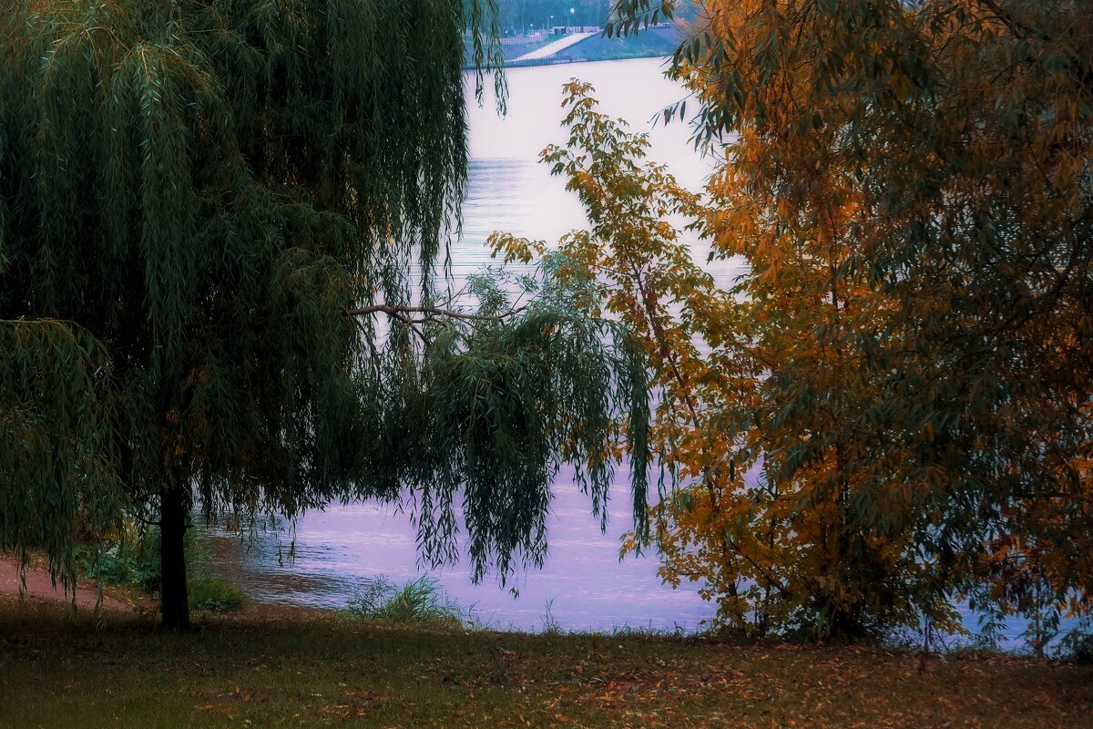 Время, когда хочется бродить... - Татьяна Помогалова