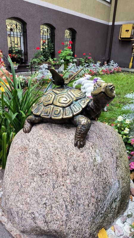 На улочках Светлогорска. - Ольга На улочках Светлогорска. - Ольга