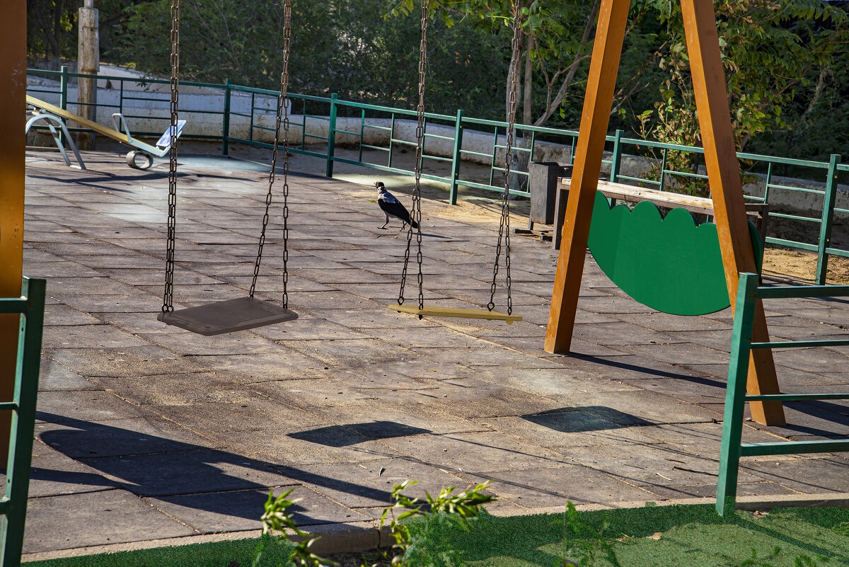 Эх, покатаюсь. - Анатолий Чикчирный