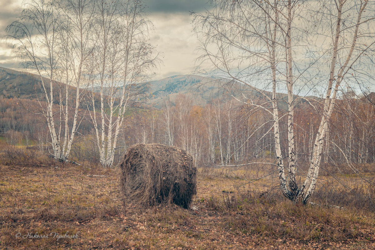 Октябрьский осенний день. - Николай Привалов