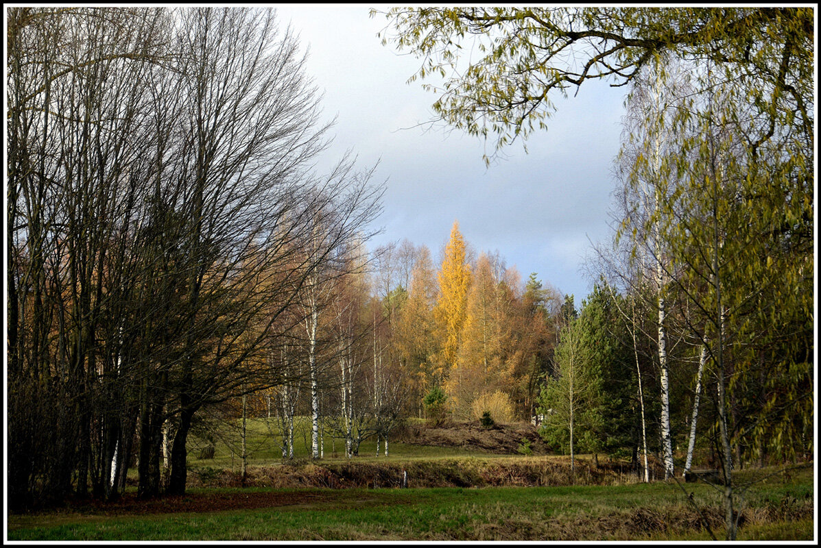 Осень наступила - Aleksandr Gal