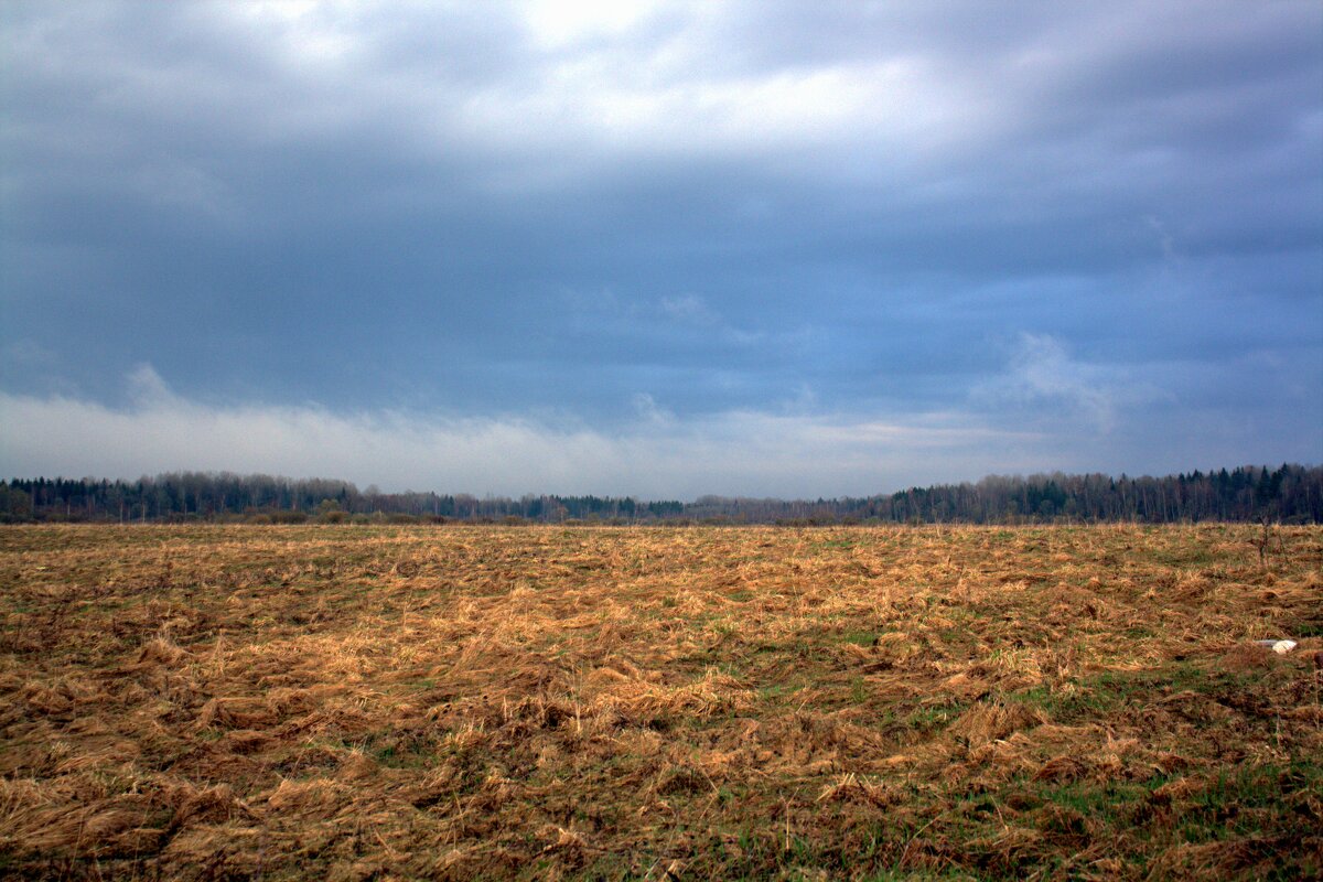 Поле - Артем 