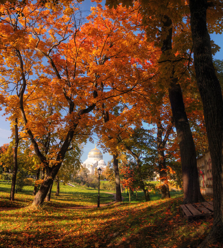 *** - Сергей Григорьев