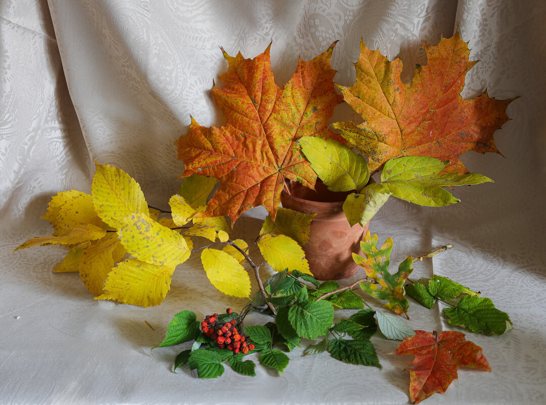 осенний этюд-угадай, сколько растений? - Владимир Зеленцов