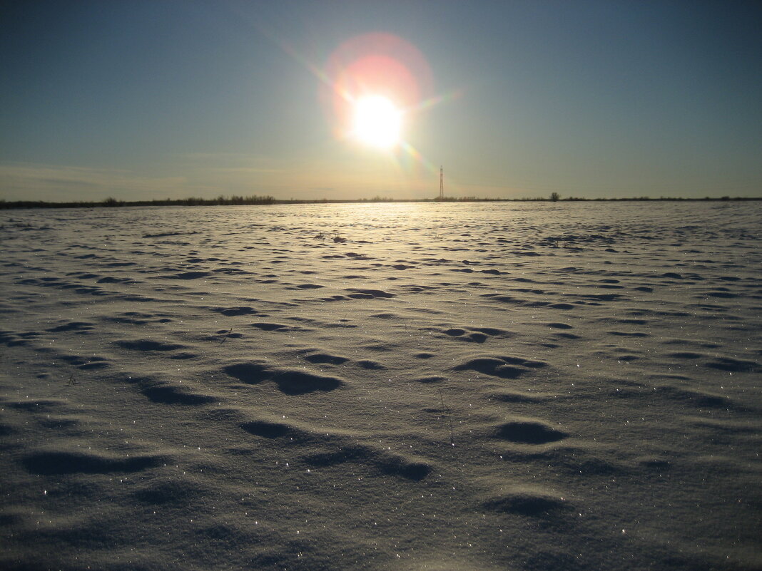 Поле - Anna Ivanova