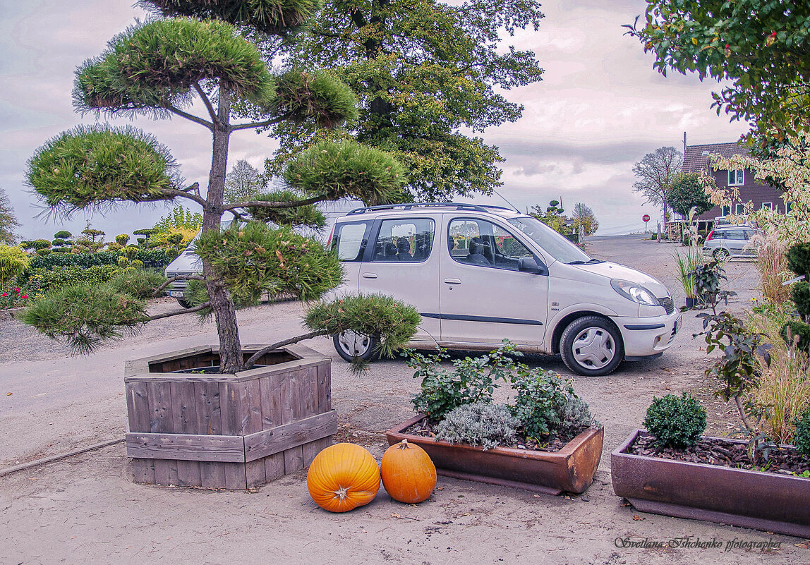 ... - Светлана Ищенко