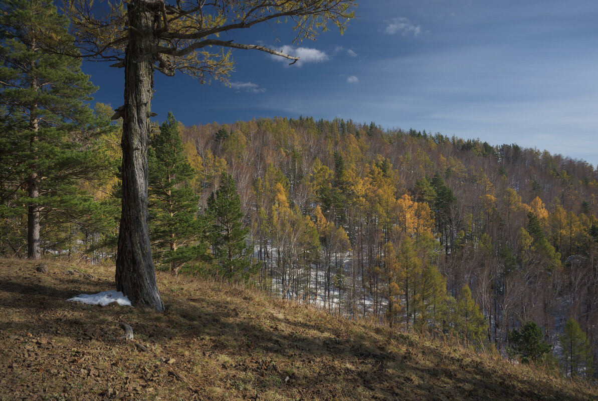 * - Александр Иванов