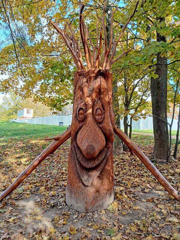 Вторая жизнь дерева. - Лия ☼