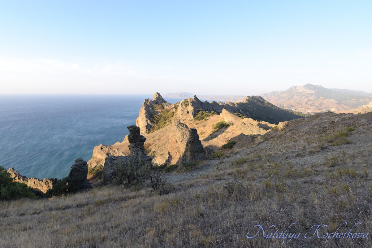 Природа Крыма - Amazing Cosmea