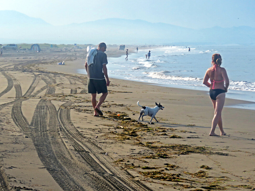 На пляже залива Анива. Сахалин - ИРЭН@ .