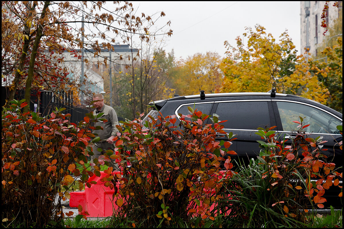 Краски осени 1 - Сергей Премонишын