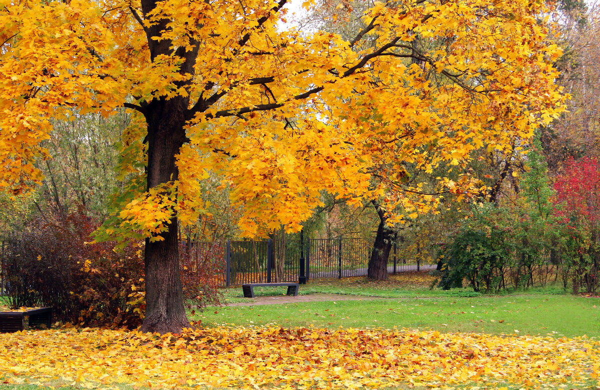 . - РИТА ЛЕВКОВА