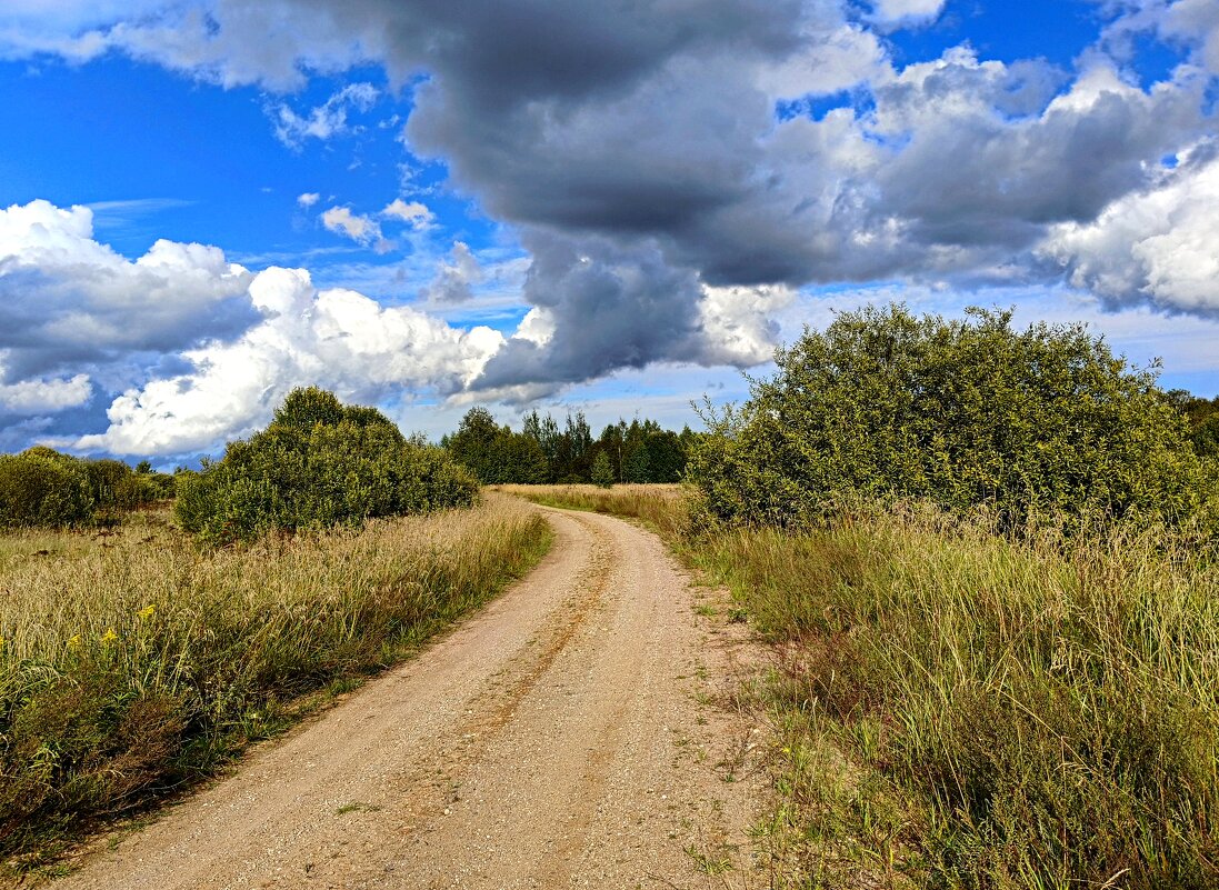 Деревенский пейзаж - Мария Васильева Деревенский пейзаж - Мария Васильева