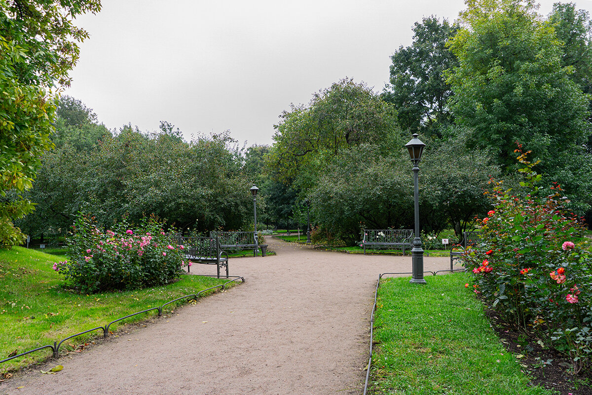 В Польском саду - Ирина Соловьёва