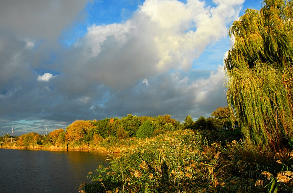 Октябрь. - Владимир 