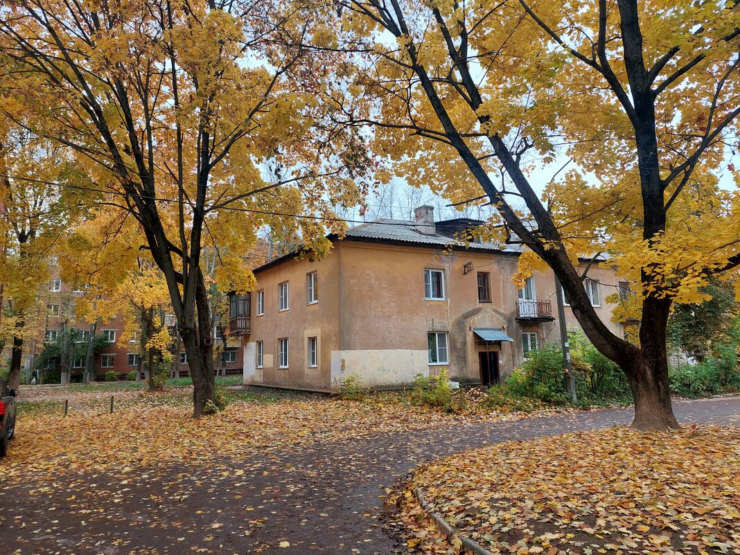 теплый дворик - Артём 