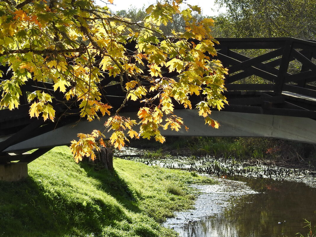 осень - ИННА ПОРОХОВА