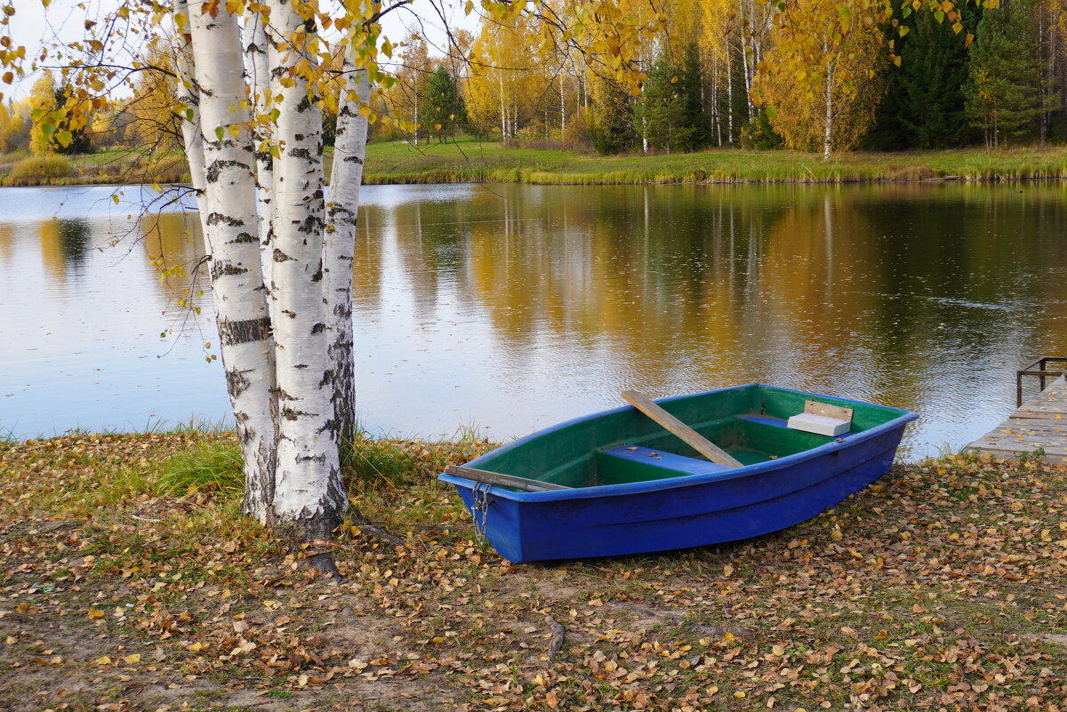 Октябрь на пруду - Сергей Ц Октябрь на пруду - Сергей Ц