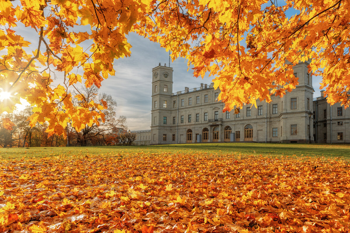 Гатчина - Владимир Колесников