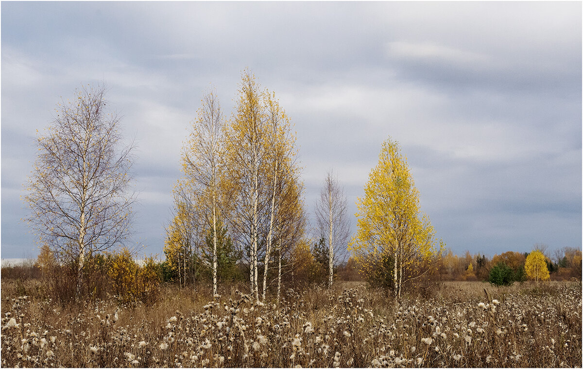 Октябрь - Валентин Котляров