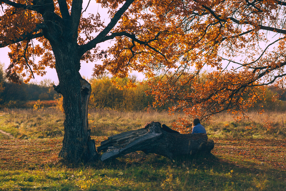 Тихая грусть. Осень. Октябрь - Вячеслав Владимирович