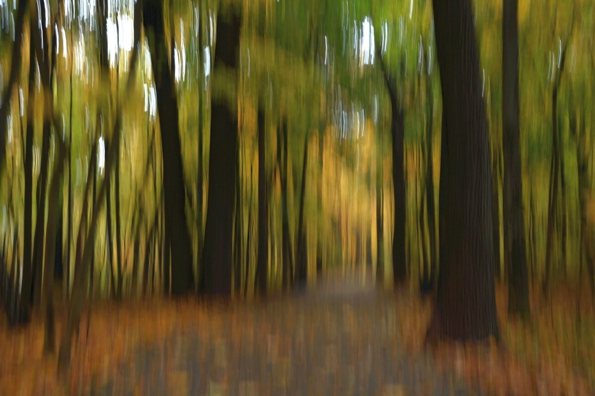 В парке в октябре - Александр Орлов