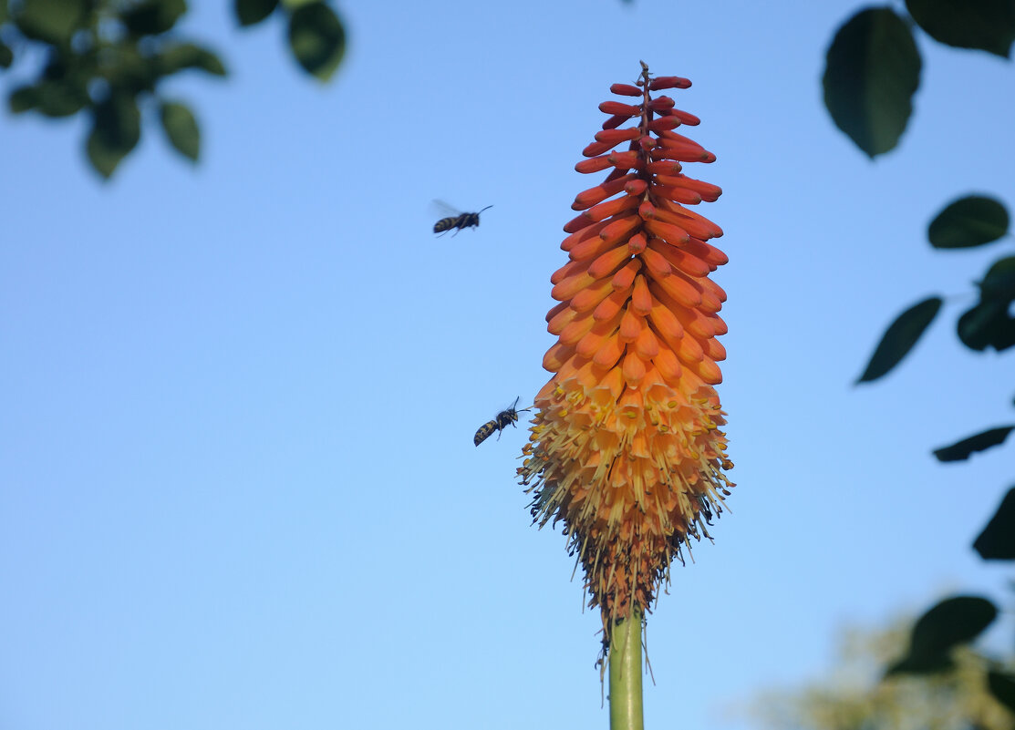Название не известно - Иван Генералов