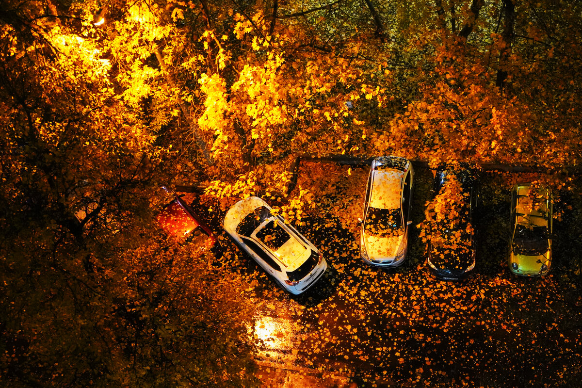 ПАДАЮТ_ПАДАЮТ_ПАДАЮТ - Сергей Янович Микк ПАДАЮТ_ПАДАЮТ_ПАДАЮТ - Сергей Янович Микк