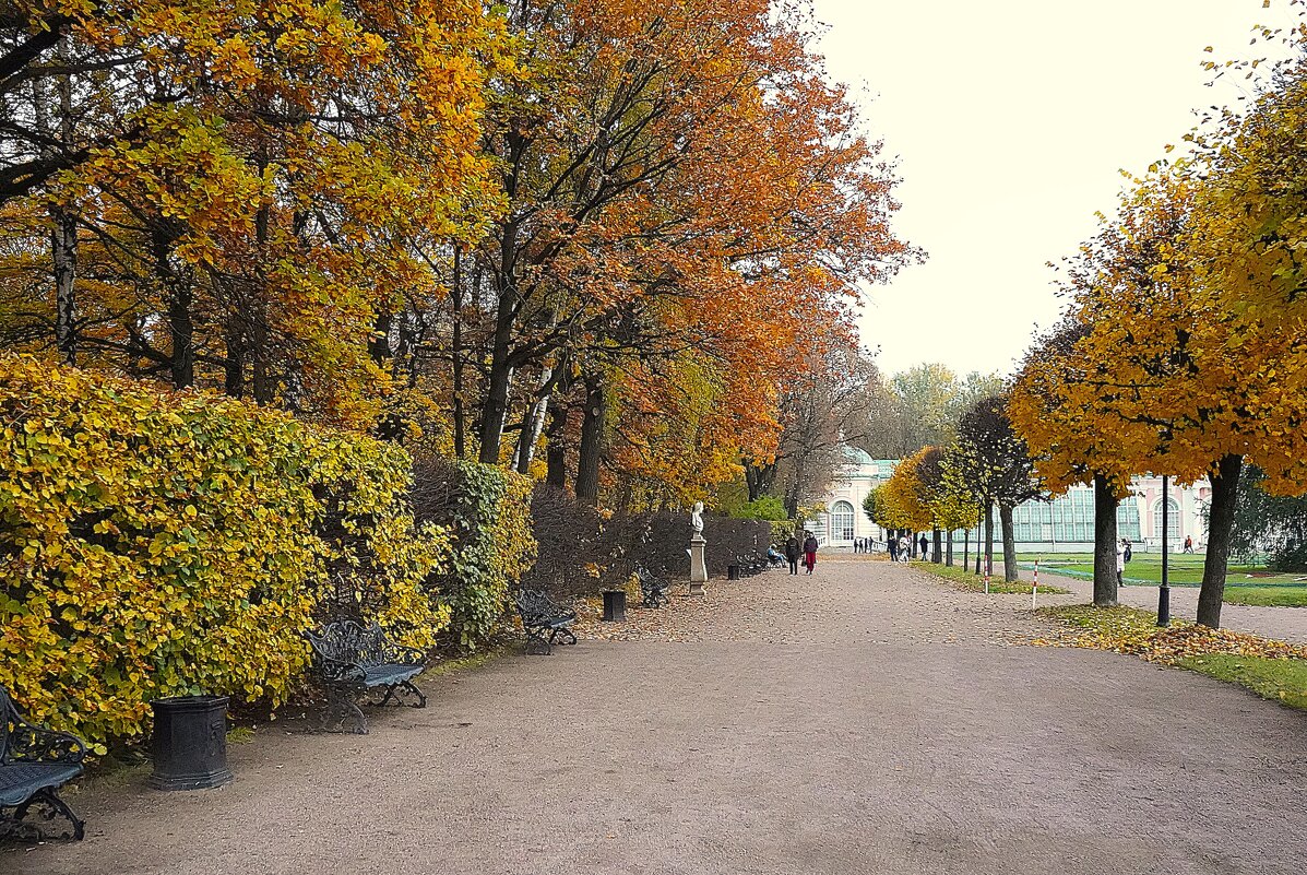 Осень в Кусково - Татьяна Тюменка