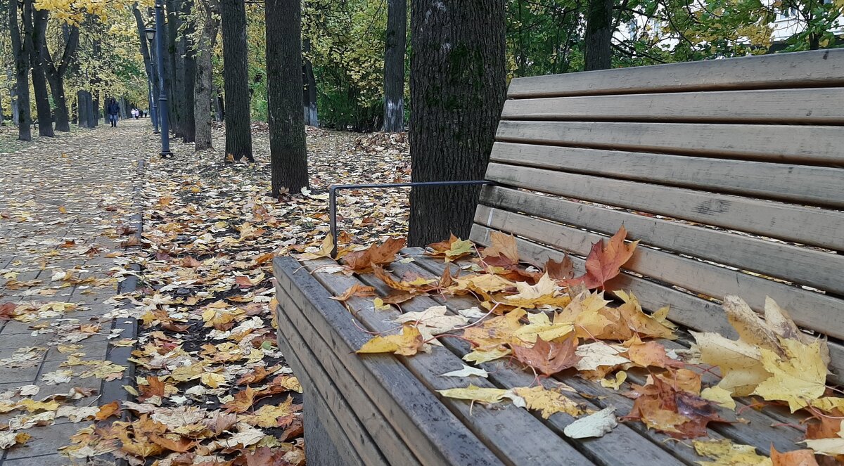 Шлиссельбург. Октябрь 2025 - Наталья Герасимова