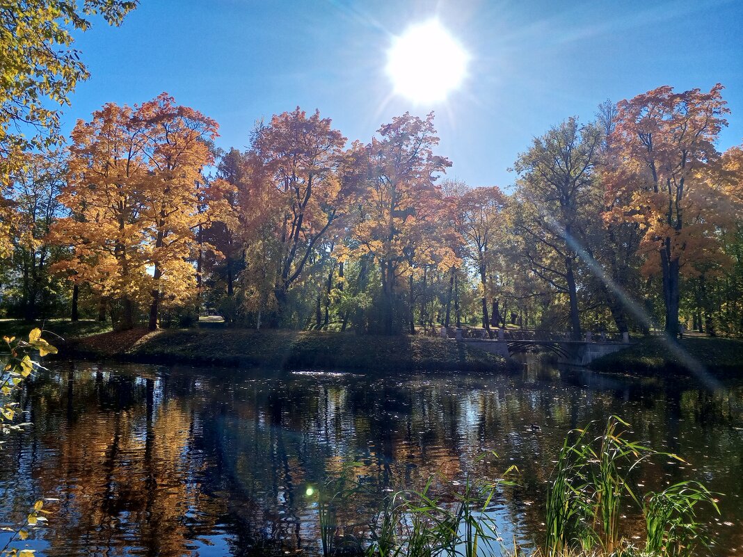 Осень - Сапсан 