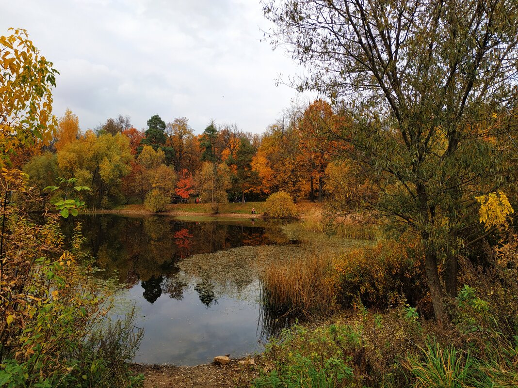 Золотая! - Андрей Лукьянов