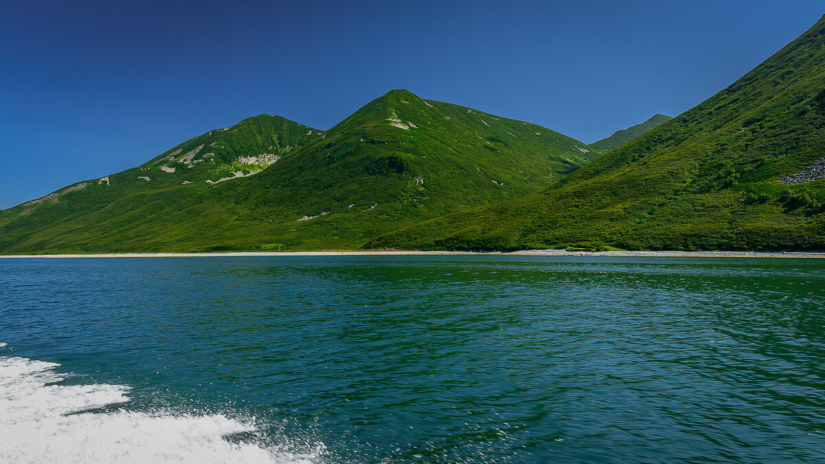 ... - Жора Житников