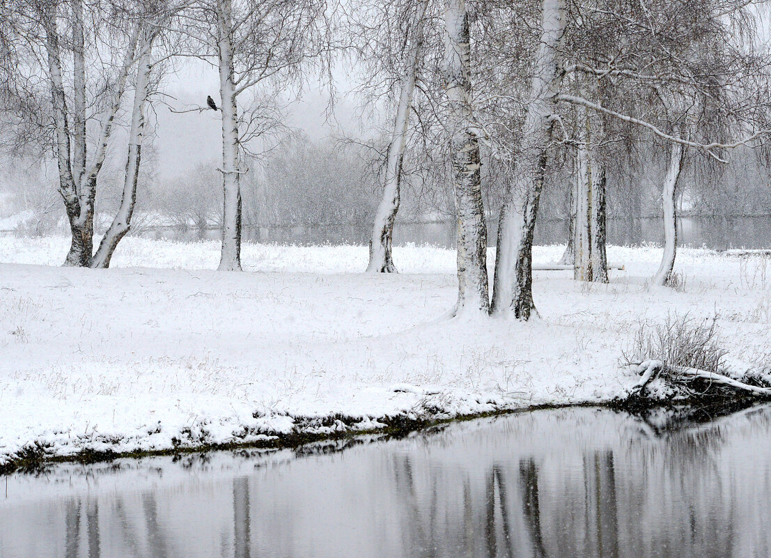 Предзимье. - Михаил Белоусов