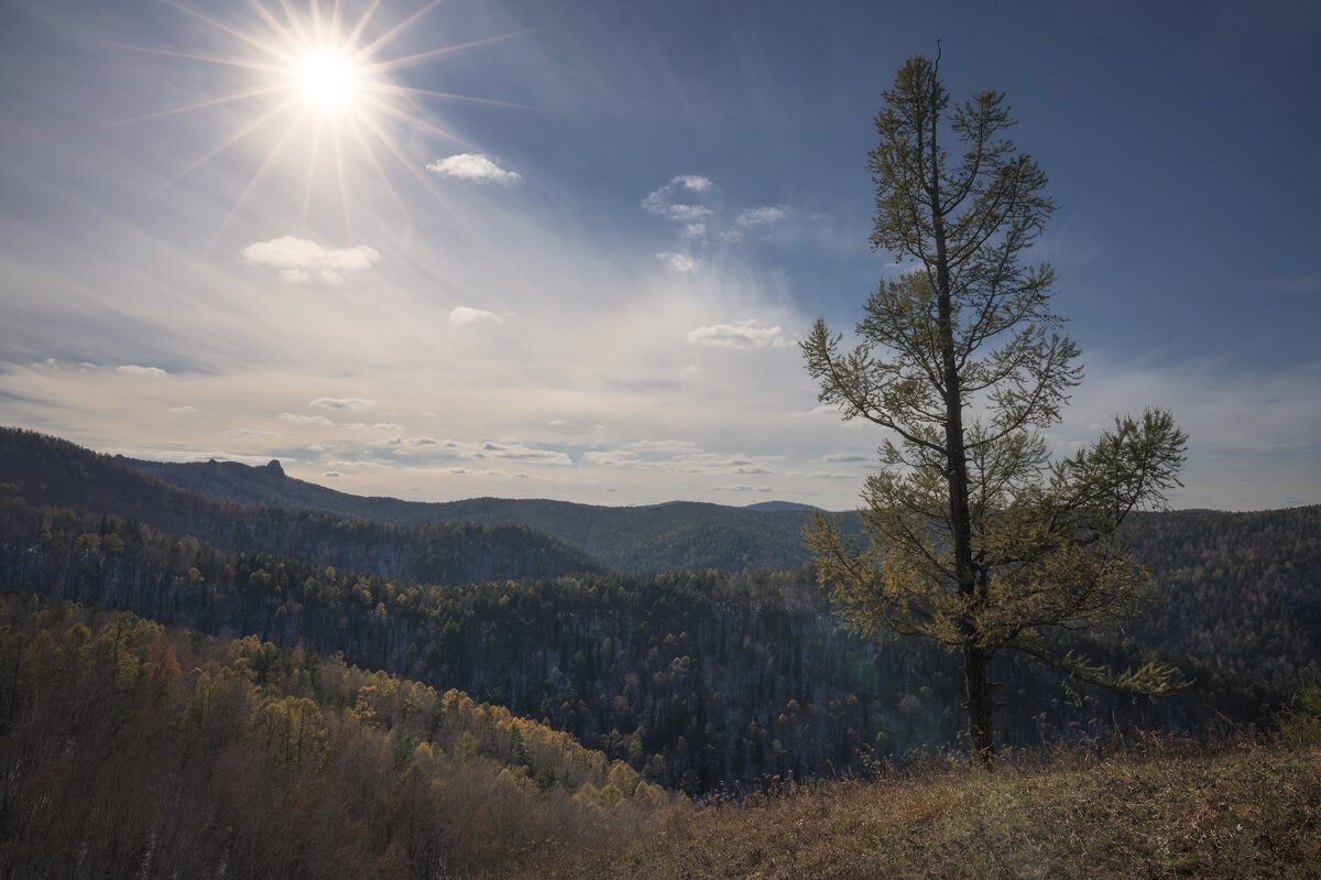* - Александр Иванов