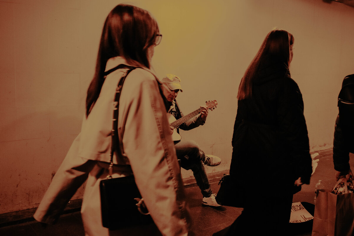 Музыкант - Лана Пипякина