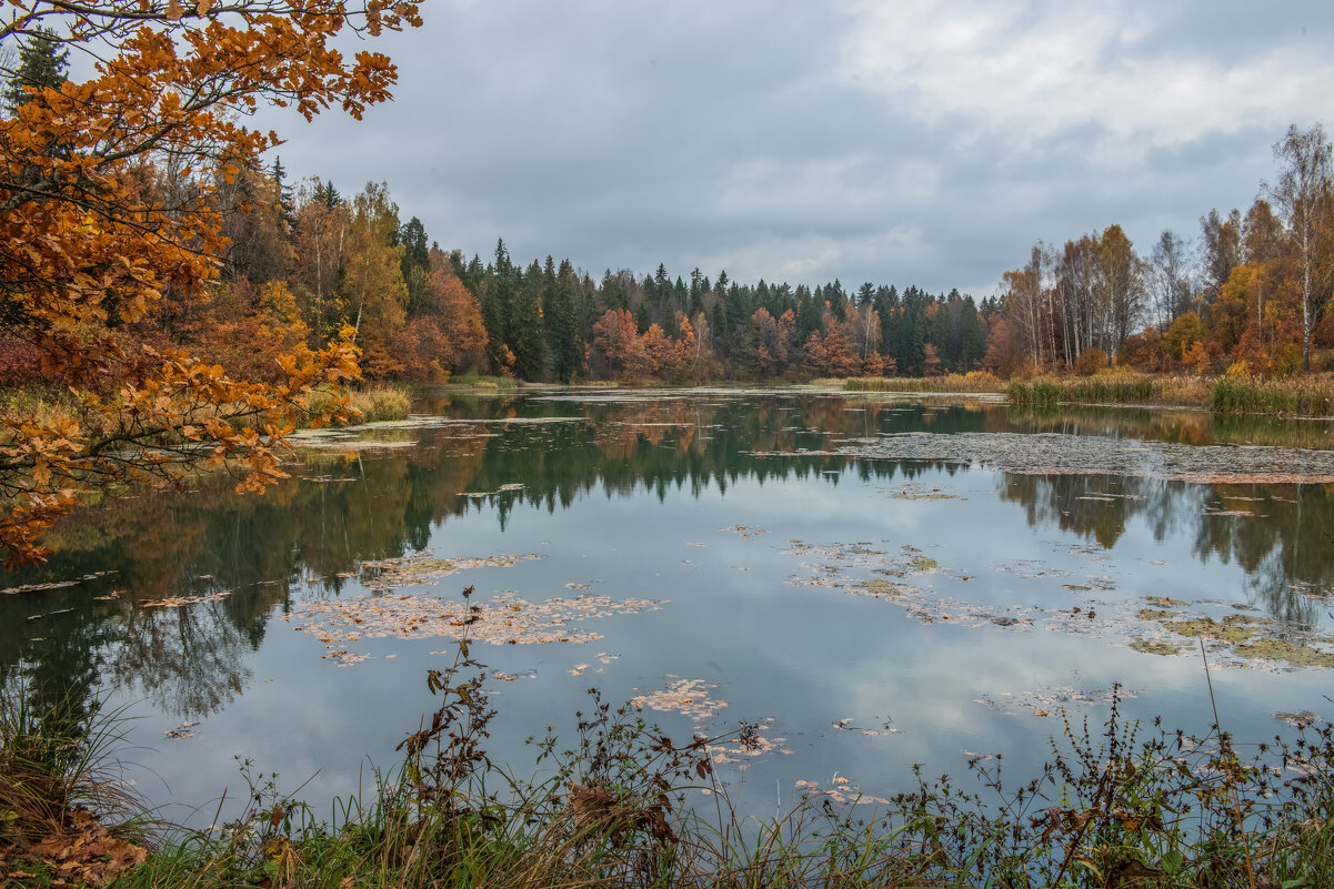 Абрамцево р.Воря. - Николай 