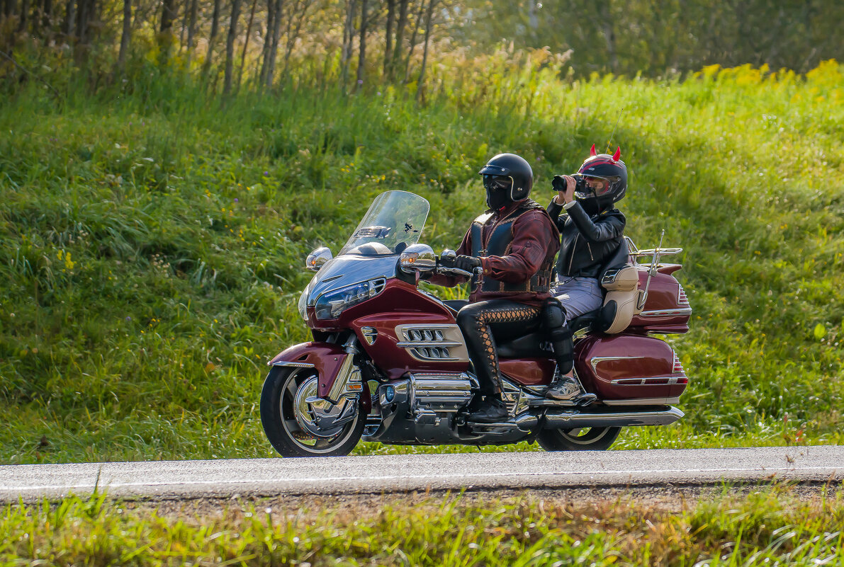 Путешественники... - Sergey (Apg)