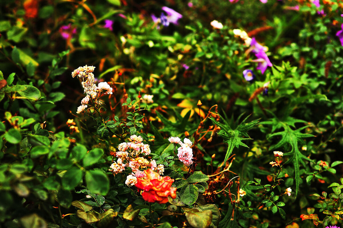 Осень - Юрий Гайворонскiий Осень - Юрий Гайворонскiий