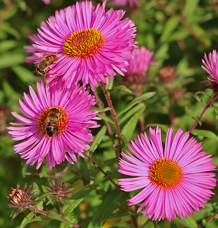 Трудяги на сентябринках - Светлана 